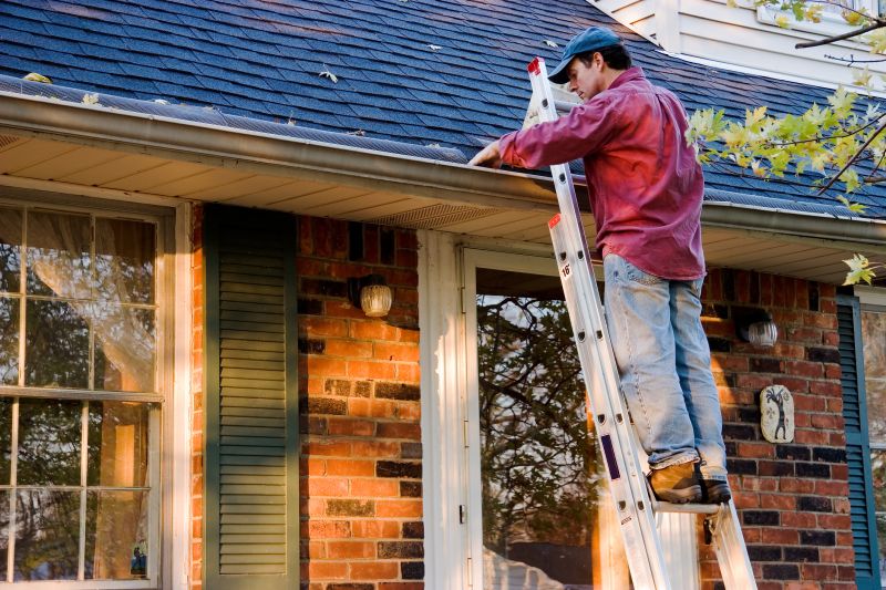 Specialized Gutter Service Providers